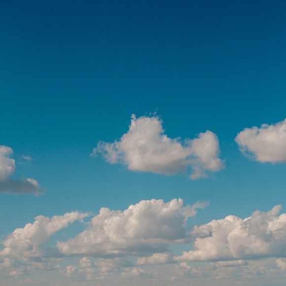 Meet your Posher, Fin - Picture 1 of 1